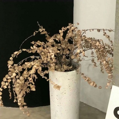 Furry兽设设计干货兽圈社群